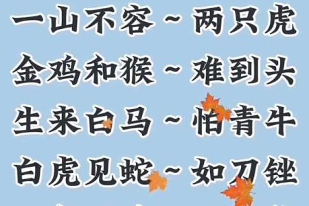 男鸡女牛：绝配还是矛盾？