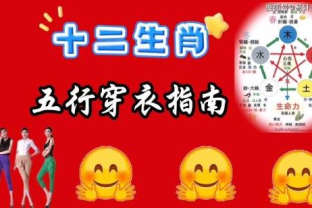生肖奇缘：十二生肖的神秘邂逅