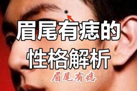 一眼识人，揭秘面相学的秘密揭秘明星、富豪的面相运势
