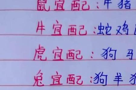 属相配对大揭秘：你的完美伴侣是哪个生肖？