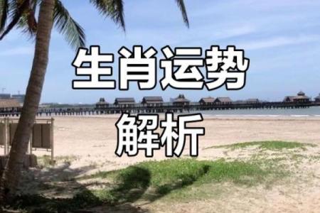 揭秘：33岁竟然是哪个生肖，运势大揭秘