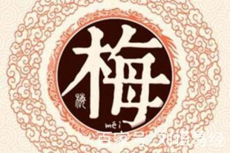梅姓男孩女孩起名推荐，送给你的孩子一生好运