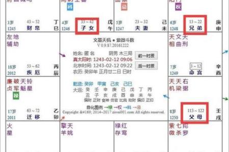 紫微斗数在线排盘详解：解密命运与性格的关系