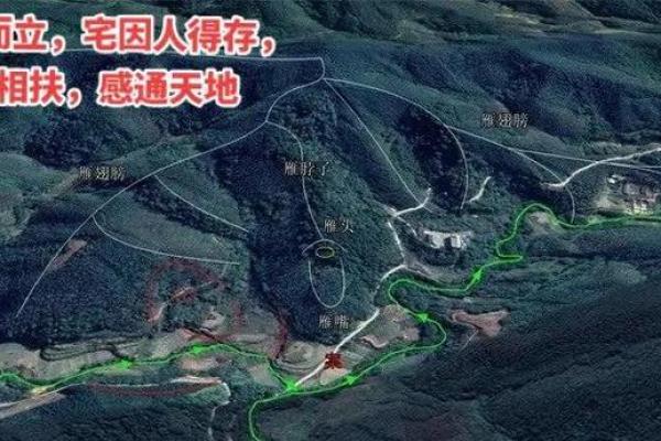 解密天干丁壬日时合，改变你一生的命运密码