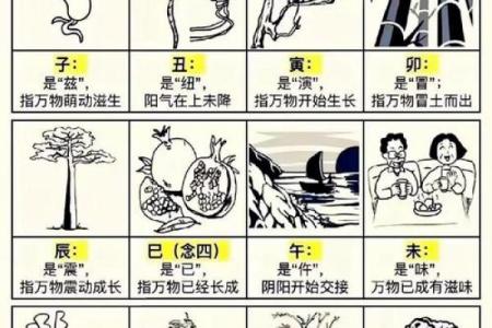 从十天干生死旺绝看命理风水，如何逆转人生