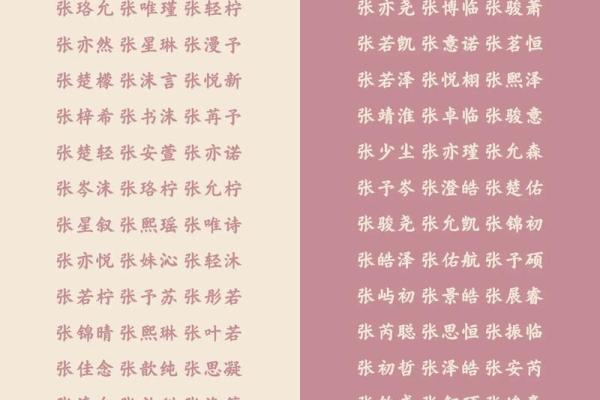 张姓宝宝起名，如何选择寓意深远的名字