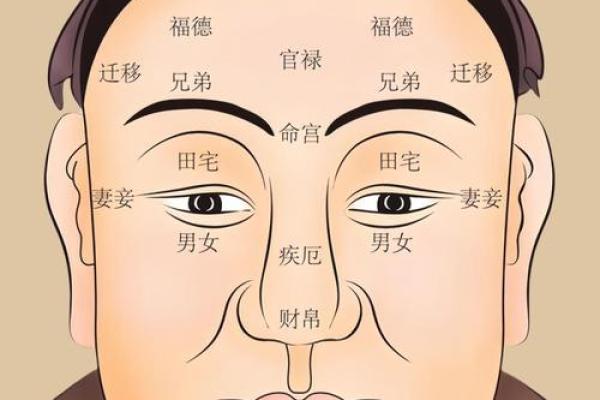 痣相揭秘：陈帅佛独家解读，命运吉凶一痣见分晓
