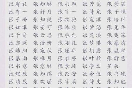 张姓宝宝起名，如何选择寓意深远的名字