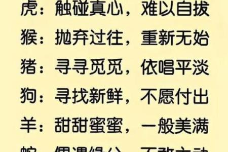 缘起生肖，命运相随