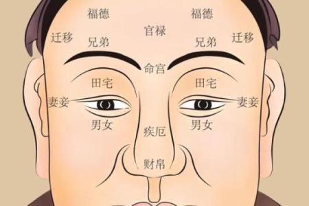 痣相揭秘：陈帅佛独家解读，命运吉凶一痣见分晓