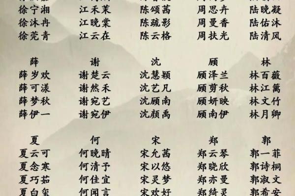 双胞胎命名灵感：为宝宝挑选最适合的名字