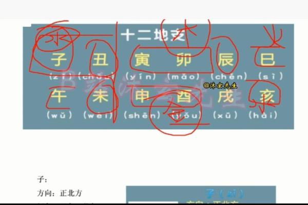 八字地支克天干的可能性与实战运用