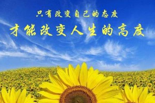 八字排盘宝详解：精准分析你的命运，改变未来的关键工具