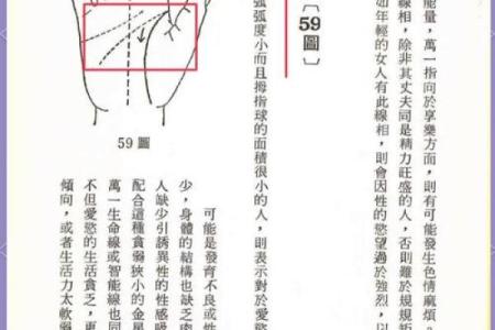 揭秘手相奥秘：一招掌握财运、健康、爱情，手相算命大全