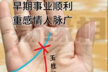 一指定乾坤揭秘手指长短差异背后的惊人手相秘密