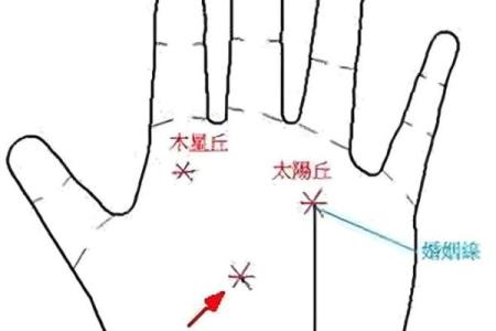揭秘米粒和星纹手相的秘密，解锁你的运势密码