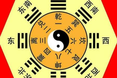 玲的五行到底是什么？一探究竟