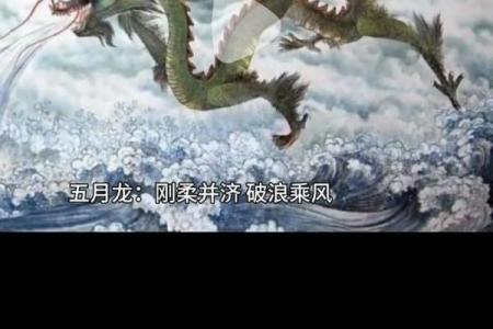 属龙男士遇属马佳人，绝配奇迹