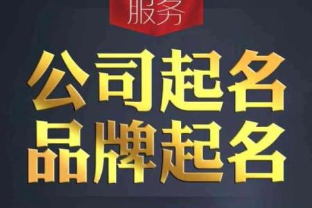 起名公司加盟：打造属于自己的品牌事业