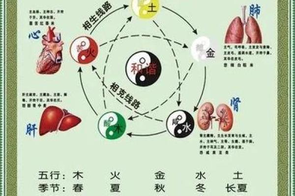 风与五行的神秘关系解析
