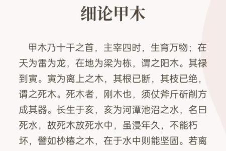为什么合八字这么重要？探索它背后的文化意义