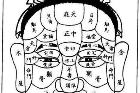 水星面相揭秘：揭秘你的财运与人际关系