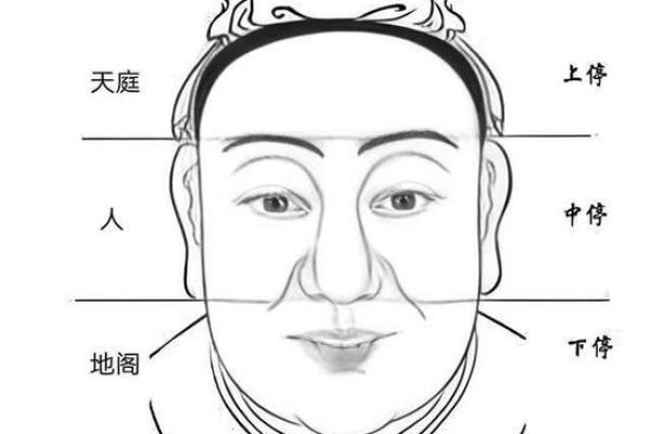 解码面部密码：揭秘男士面相中的成功与命运