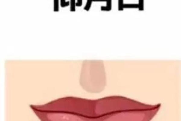 解码面部密码：揭秘男士面相中的成功与命运
