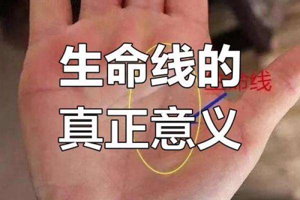 揭秘手相生命线：你的命运密码在此