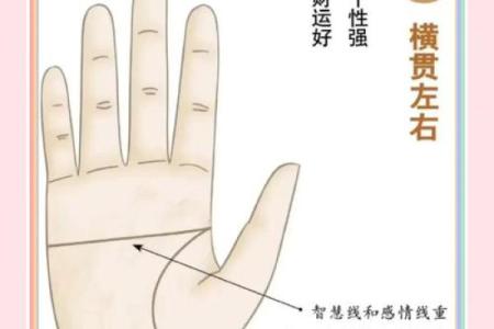 揭秘手相生命线：你的命运密码在此