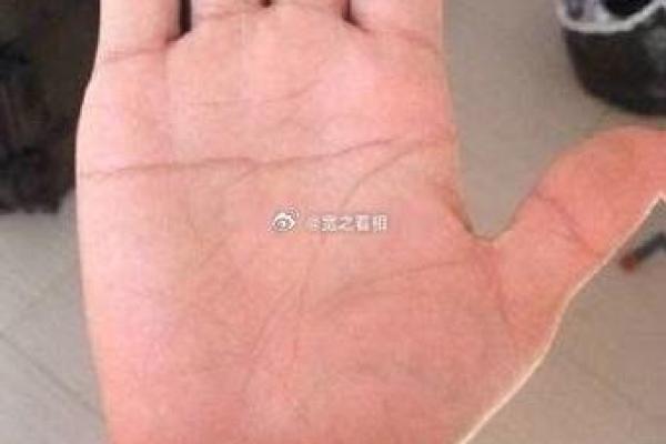 断掌命硬的女人：命运女神的宠儿？