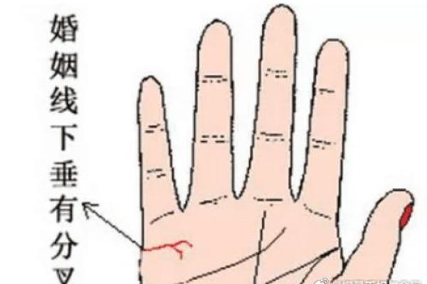 手相揭秘：注定二婚的川手特征，你中招了吗？