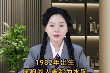 想让命理生效？属狗人必做的事