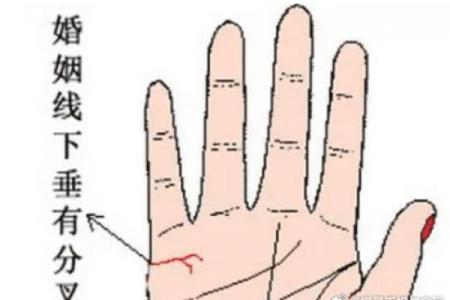 手相揭秘：注定二婚的川手特征，你中招了吗？