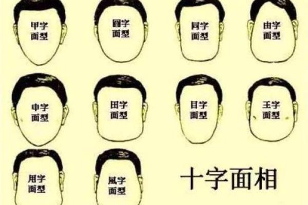 解码面相：揭秘男女脸型与命运之间的神秘联系