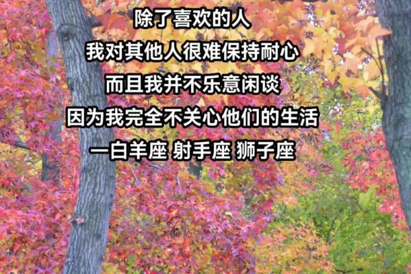 白羊座的热情延续：射手座的冒险启程