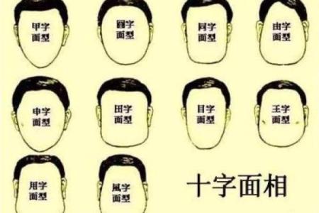 解码面相：揭秘男女脸型与命运之间的神秘联系