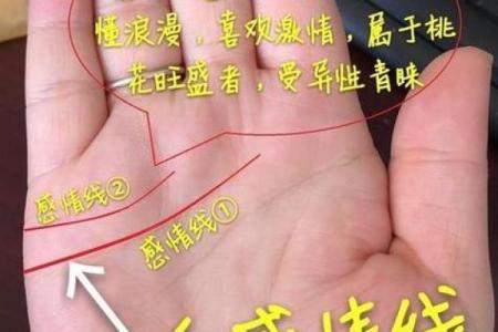 揭秘手相奥秘：一掌之间，婚姻多段命运尽在掌握