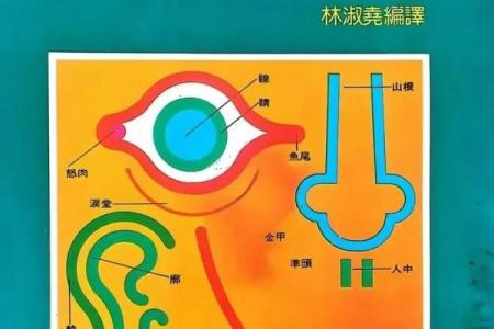 面相大师揭秘：看五官识命运，你的命运如何？