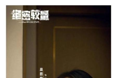 高圆圆八字揭秘：命中注定的爱情与成功