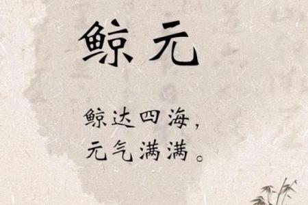 探索国字起名公司：让你的名字充满历史与文化气息