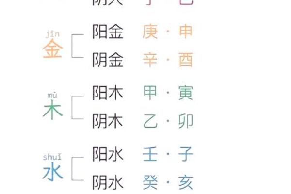 秀五行：揭秘五行能量如何改变你的命运