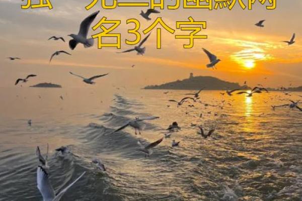 一步步教你取个独一无二的名字