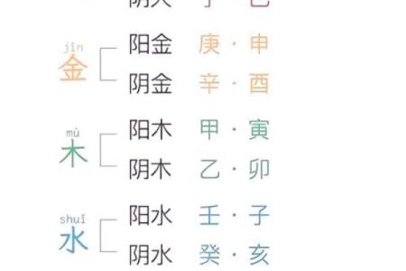 秀五行：揭秘五行能量如何改变你的命运