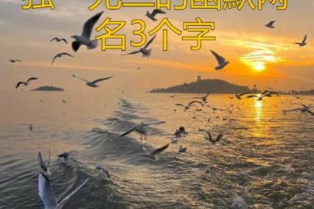 一步步教你取个独一无二的名字