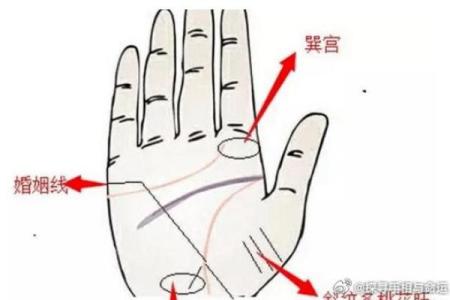 嫁得好的女人，手相中这3大特征一目了然