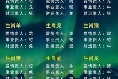 天地之生肖，揭秘生肖背后的神秘力量
