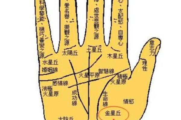 左手食指上的痣，预示着你未来的运势