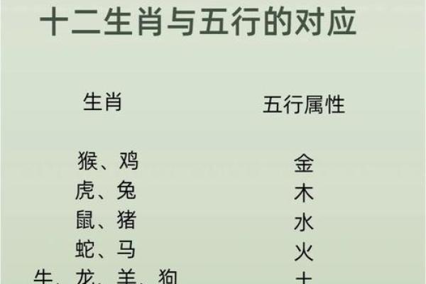 波五行属性分析，揭开隐藏的命理玄机