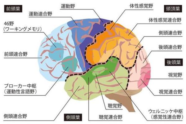 揭秘神奇面相：不对称耳朵，隐藏的运势密码